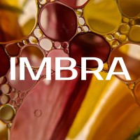 IMBRA logo - Similar company to Imbra