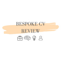 Bespoke Cv Review And Consulting Services