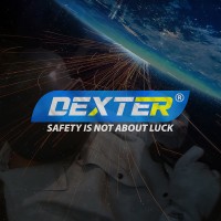 Dexter Corporativo logo - Similar company to Pypesa