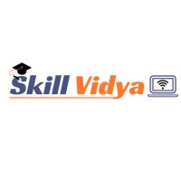 skill vidya logo - Similar company to Intellasphere