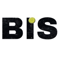 BİS Danışmanlık logo - Similar company to Spinsoft Information Technologies