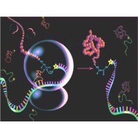 Biochemistry and Biophysics (B&B) Facility of IPNP logo - Similar company to Theoretical And Computational Biophysics Group