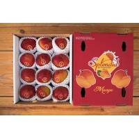 SPLENDID BY PORVENIR, LLC logo - Similar company to Asl Produce