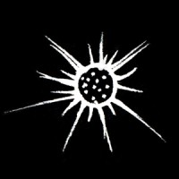Jimsonweed logo - Similar company to Webyte Solutions