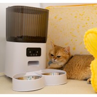 Pet Feeder logo - Similar company to Goldenhour Innova Co.,Ltd