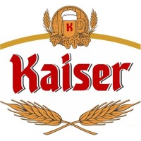 Cervejaria Kaiser Brasil S.A. logo - Similar company to Boosty