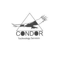 Condor Technology Services logo - Similar company to Condor Technology