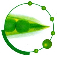 Project Profile Ltd logo - Similar company to Funding Bridge - Making Sme Loans And Facilities Simple Again