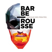 BARBEROUSSE DIFFUSION logo - Similar company to Hemovis