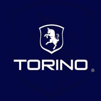 TORINO logo - Similar company to Mrbstm