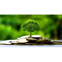 Finanzieller Zuschuss für Unternehmer und Privatpersonen logo - Similar company to Förderung.Digital