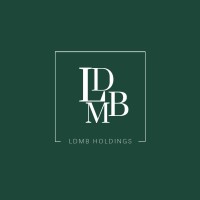 LDMB Holdings logo - Similar company to Rsys Cctv