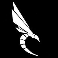 Black Hive Athletics ™