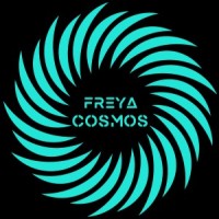 Freya Cosmos Company Limited logo - Similar company to Snb Group