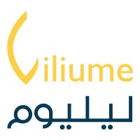 ليليوم للتسويق الالكتروني logo - Similar company to Numu Marketing & Pr شركة نمو للتسويق والعلاقات العامة