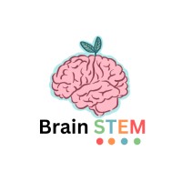 Brain STEM logo - Similar company to Brain Stem