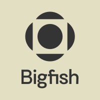 Bigfish logo - Similar company to Millennium Enterprise