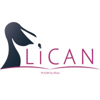 Plican logo - Similar company to Mdt International Consulting