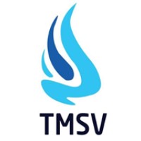 TMSV Edutech logo - Similar company to Ipss Security Services