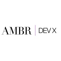AMBR DEV X logo - Similar company to Managility Business Intelligence Solutions