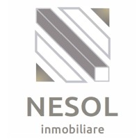 Nesol Inmobiliaria logo - Similar company to Milo Real Estate