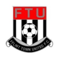 Flint Town United Football Club logo - Similar company to The Last Stand