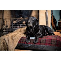 Berkeley Dog Beds Limited logo - Similar company to Gorilla Dog Beds