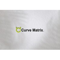 Curve Matrix LLP logo - Similar company to Scalecode Solutions Llp