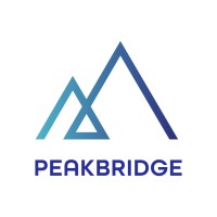 PeakBridge logo - Similar company to Be Wtr