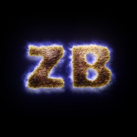 Zappy Bear