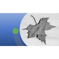 Asturia Ventures logo - Similar company to Azelera