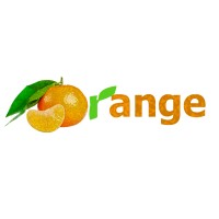 Orange IT logo - Similar company to Orange It Solutions