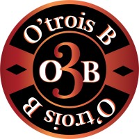 O3B logo - Similar company to O3B Networks