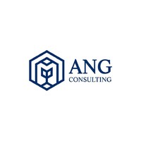ANG Consulting logo - Similar company to Ang Consultancy