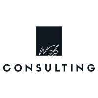 WSB Consulting logo - Similar company to Daydreamer Technologies