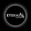 Eternal Growth logo - Similar company to Quba Infotech
