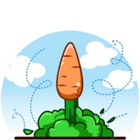 RocketCarrot logo - Similar company to Austral Venture Gestion Sgeic Sau