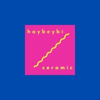 Haybeybi Ceramic logo - Similar company to Min Seramik