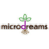 MicroDreams LLC