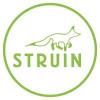 Struin logo - Similar company to Purposeday