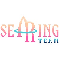 SeaRing Team logo - Similar company to Full Steam Studios