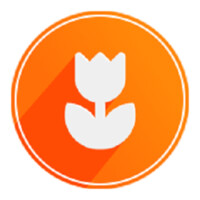 The Dutch - Balkan Business Hub logo - Similar company to Upkeep Agency