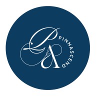PinnAscend (OPC) Private Limited logo - Similar company to Epic Codebase