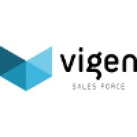 Vigen Services