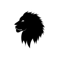 Leo Insights logo - Similar company to Okumus Properties