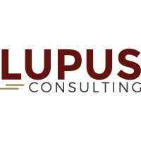Lupus Consulting logo - Similar company to Key User Training En