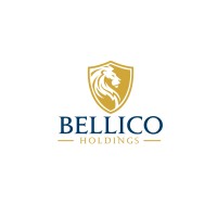 Bellico Holdings logo - Similar company to Horizon Scf