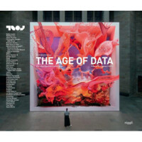 The Age of Data logo - Similar company to Dialeto