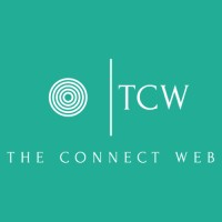 THE CONNECT WEB logo - Similar company to Stunnin Visual Design