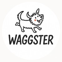 Waggster logo - Similar company to Smartyx